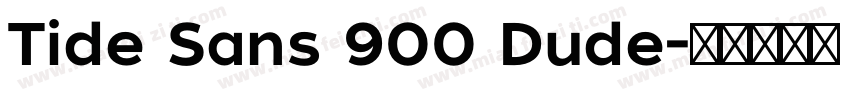 Tide Sans 900 Dude字体转换